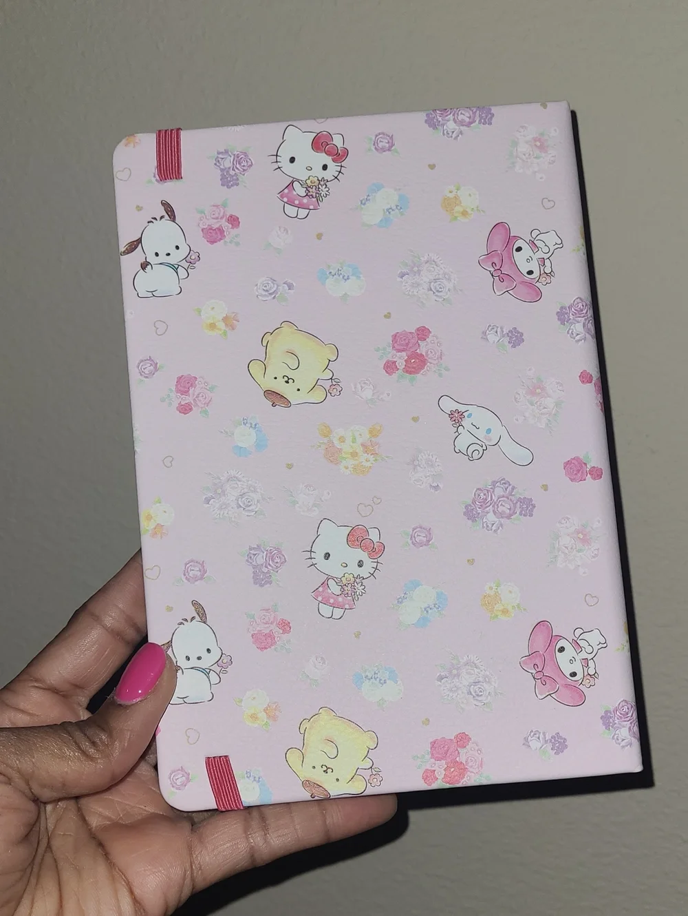 Sanrio 17 month
